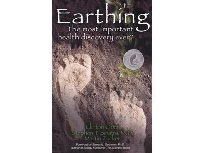 Knjiga Earthing